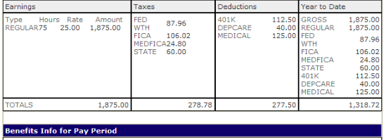 paycheck stub